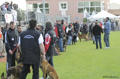 Remise des Prix 020.JPG - CHIENPLUS.COM